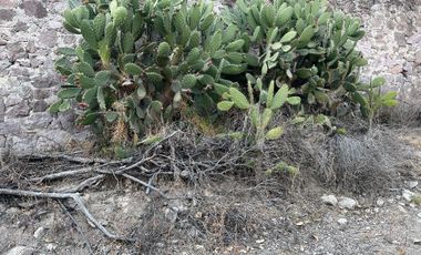 Vendo terreno de 800 Hectareas en Champantongo, Hidalgo Cod. TV361