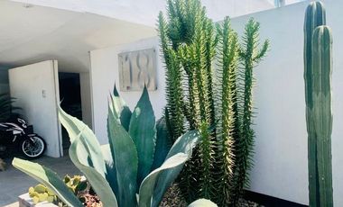 Vendo terreno de 800 Hectareas en Champantongo, Hidalgo Cod. TV361