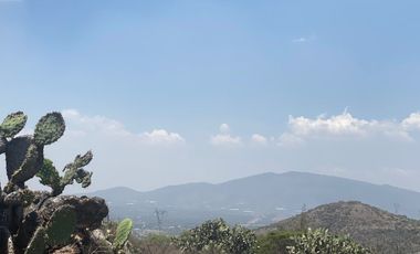 Vendo terreno de 800 Hectareas en Champantongo, Hidalgo Cod. TV361