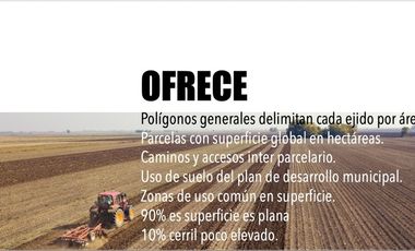 HT420 Ideal para centro de distribución con inteligencia artificial