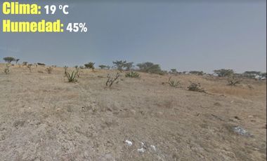 HT422 Terreno ideal para desarrollar un gran huerto