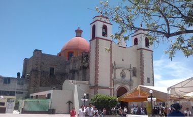 HT422 Terreno ideal para desarrollar un gran huerto