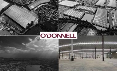 HT422 Terreno ideal para desarrollar un gran huerto