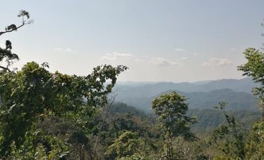 TERRENO EN VENTA EN PLUMA HIDALGO