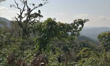 TERRENO EN VENTA EN PLUMA HIDALGO