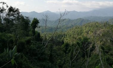 TERRENO EN VENTA EN PLUMA HIDALGO