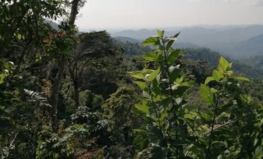 TERRENO EN VENTA EN PLUMA HIDALGO