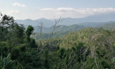 TERRENO EN VENTA EN PLUMA HIDALGO