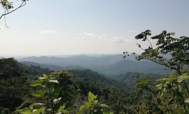 TERRENO EN VENTA EN PLUMA HIDALGO