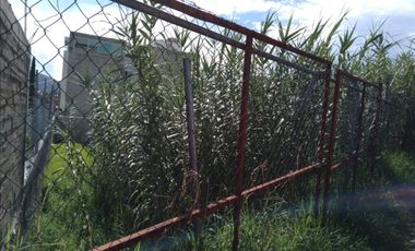 Terreno en venta en Valle Esmeralda, Oaxaca