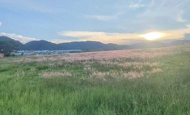 TERRENO CARRETERA COLOTLAN IDEAL DESARROLLADORES