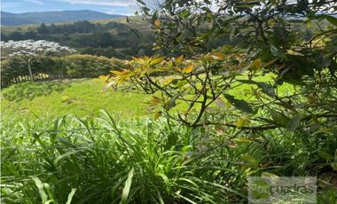 Venta finca en parcelación vía El Retiro a Montebello