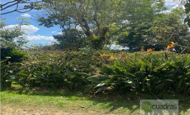 Venta finca en parcelación vía El Retiro a Montebello