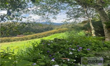 Venta finca en parcelación vía El Retiro a Montebello
