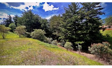 Venta Ultimos Lotes Parcelacion La Ceja Todos Los Servicios