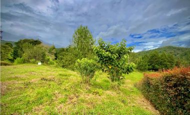 Venta Ultimos Lotes Parcelacion La Ceja Todos Los Servicios