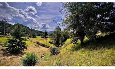 Venta Ultimos Lotes Parcelacion La Ceja Todos Los Servicios