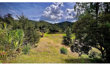 Venta Ultimos Lotes Parcelacion La Ceja Todos Los Servicios