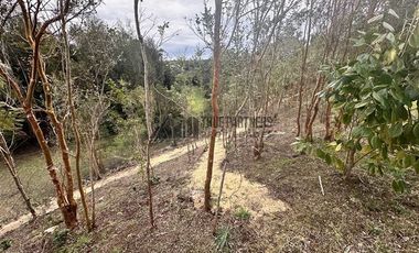 Parcela en Venta en Condominio del Parque, Dos Esteros. Puerto Montt
