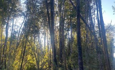 Parcela en Venta en Olmopulli