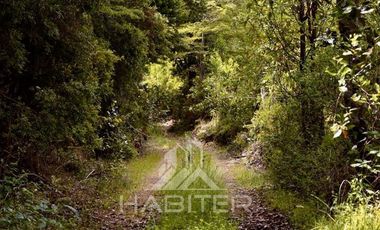 Parcela en Venta en Olmopulli