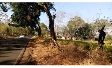 VENDO TERRENO EN LA CHORRERA CAMINO A LA MITRA 3 HECTREAS
