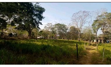 VENDO TERRENO EN LA CHORRERA CAMINO A LA MITRA 3 HECTREAS