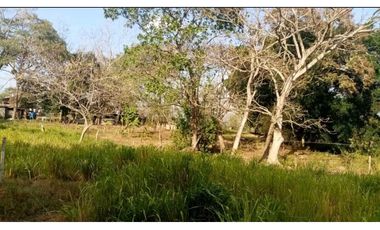 VENDO TERRENO EN LA CHORRERA CAMINO A LA MITRA 3 HECTREAS