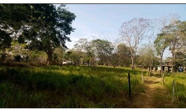 VENDO TERRENO EN LA CHORRERA CAMINO A LA MITRA 3 HECTREAS