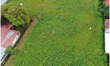 ALQUILO TERRENO EN JUAN DIAZ