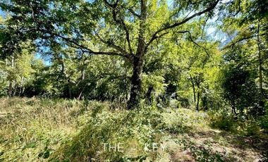 Sitio en Venta en Camino Villarrica Pucón - Los Guindos.