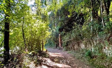 Sitio en Venta en Camino Villarrica Pucón - Los Guindos.