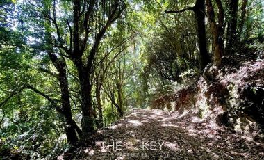 Sitio en Venta en Camino Villarrica Pucón - Los Guindos.