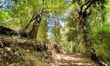 Sitio en Venta en Camino Villarrica Pucón - Los Guindos.