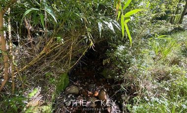 Sitio en Venta en Camino Villarrica Pucón - Los Guindos.