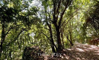 Sitio en Venta en Camino Villarrica Pucón - Los Guindos.