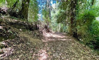 Terreno Construccion  en Venta en Camino Villarrica Pucón - Los Guindos.