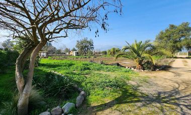 Venta Casa en Parcela de 8.000 m2 en Olmué