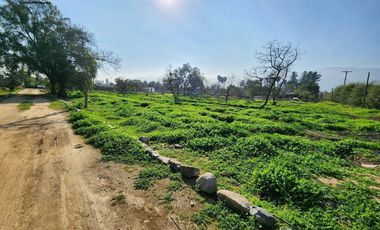 Venta Casa en Parcela de 8.000 m2 en Olmué