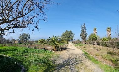 Venta Casa en Parcela de 8.000 m2 en Olmué