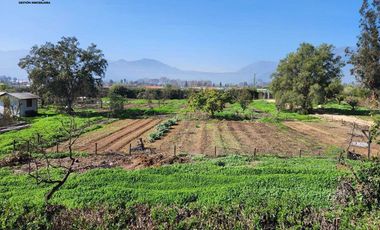 Venta Casa en Parcela de 8.000 m2 en Olmué