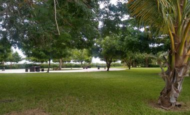 🌟 Terreno Residencial en Venta en Dzizil Ha | Lote de 539 m² ENTREGA INMEDIATA