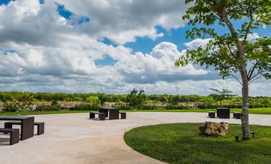 🌟 Terreno Residencial en Venta en Dzizil Ha | Lote de 539 m² ENTREGA INMEDIATA