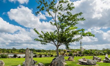 🌟 Terreno Residencial en Venta en Dzizil Ha | Lote de 539 m² ENTREGA INMEDIATA