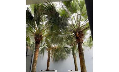 VENTA DE APARTAMENTO AMOBLADO EN BELLAVISTA  NUOVO BY ARMANI