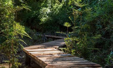 Parcela en Venta en PARCELA EN LA RESERVA DE FRUTILLAR/ CONDOMINIO CONSOLIDADO CON MARINA