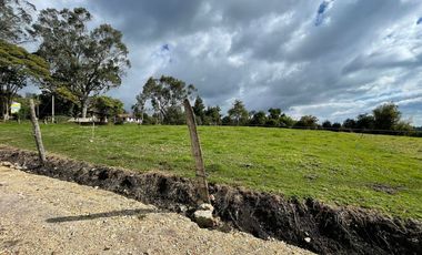 LOTE en VENTA en Chía Chía