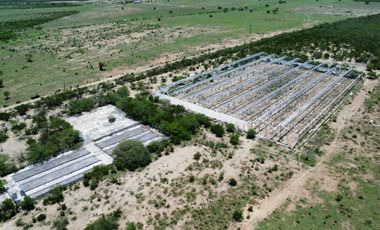 TERRENO RURAL EN VENTA EN LA LAJA, HUALAHUISES, N.L.