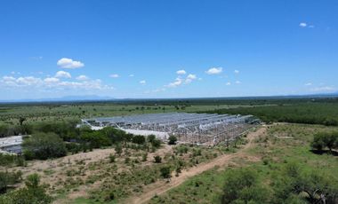 TERRENO RURAL EN VENTA EN LA LAJA, HUALAHUISES, N.L.