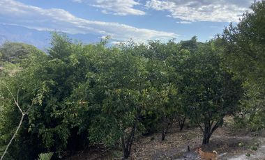 HERMOSA QUINTA EN VENTA EN YUNGILLA